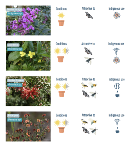 native australian plant guide